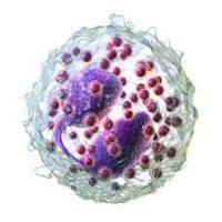 Eosinophilic & Rare Disease Cooperative logo - Similar company to Vasculitis Foundation