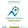 Sudanese Nurses Organization logo - Similar company to Wp Sparks | Wordpress Support