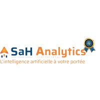 SaH Analytics International logo - Similar company to Data354