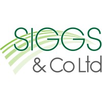 Siggs & Co Ltd logo - Similar company to Regroup Platforms