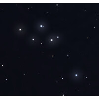Delphinus Data