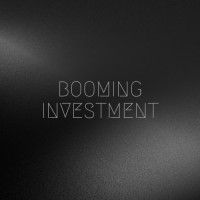 Booming Investment logo - Similar company to Prime Assets For Real Estate Investment