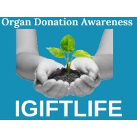 IGiftLife logo - Similar company to Labbayk Tech