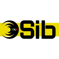 Sib srl logo - Similar company to Amacodev