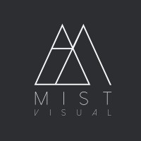 Mist Visual logo - Similar company to Crazy Cat Animation Studio