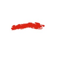 Red Stripe Apparel LLC logo - Similar company to Stripe Visual Studio