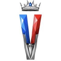 Vizzle Media logo - Similar company to Vizzle