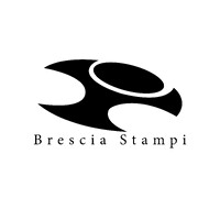 Brescia Stampi logo - Similar company to Marella S.R.L.