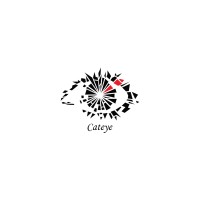 Cateye Consultancy Services Private Limited logo - Similar company to Loan Advisory Centre