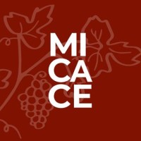 MICACE VINI d'Abruzzo logo - Similar company to Liquid Basement