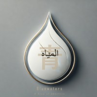 Bluewaters Belgium logo - Similar company to Remote Hr Solutions