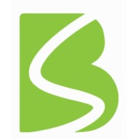 BluSystems logo - Similar company to Arinsys