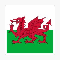 Cardiff logo - Similar company to Samar'T Number Plates (Uk)