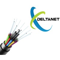 Delta-Net 2023 logo - Similar company to Mollix