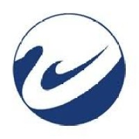 Swan Solutions and Services Pvt Ltd logo - Similar company to Swansolve, Llc