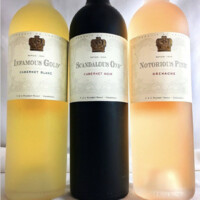 Notorious Wines logo - Similar company to Newlio