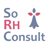 So RH Consult logo - Similar company to Beyond Group (Invest - Partners)