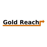 Gold Reach Electronics Co Ltd logo - Similar company to Apc Electronics Ltd