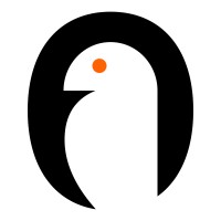 Binary Birds logo - Similar company to Canecom