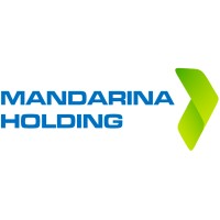 Mandarina Holding logo - Similar company to Imagence Interactive