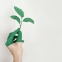 The Sustainability Hub - MBA HEC Montréal logo - Similar company to Mba International Business Management & Sustainability