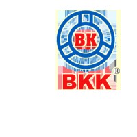 BKK COMPANY logo - Similar company to Công Ty Tnhh Cáp Thép Vi Na