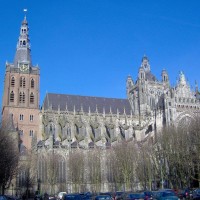 Bossche vacatures - Den Bosch logo - Similar company to Eindhovense Vacatures