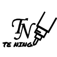 TE NING INDUSTRIAL CO. logo - Similar company to Tcomp - Tjæreborg Kompensatorfabrik
