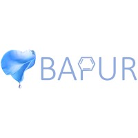 BAPUR project logo - Similar company to Celise_Project