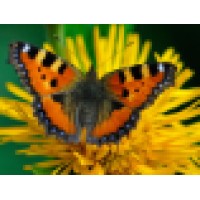 No Current Company Affiliation