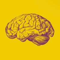 brainfood logo - Similar company to Brainfood Marketing