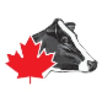 Holstein Canada logo - Similar company to Dairy Farmers Of Canada | Les Producteurs Laitiers Du Canada