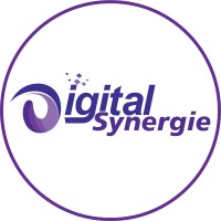 Digital Synergie logo - Similar company to Apexars