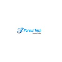 Porvus Tech Solutions logo - Similar company to Zomosoft Technologies