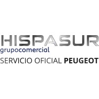 HISPASUR MOTOR, S.L. logo - Similar company to Surgenia
