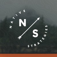 Native Strategies, LLC logo - Similar company to Native Spaces