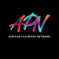 African Playbook Network logo - Similar company to Sporting Chance  Development Foundation