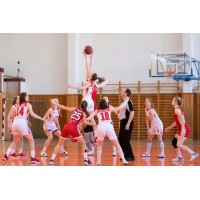Basketball Heroes logo - Similar company to Tri-Valley Basketball