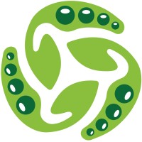 SIRDARYA BEANS EXPORT logo - Similar company to Liberain Coffee