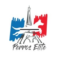 Perros Élite logo - Similar company to Workingdog Solutions, S.L