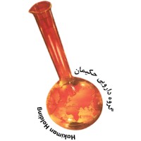 Hakiman Group logo - Similar company to Shahid Engineering