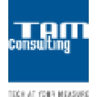 Tam Consulting - It Services