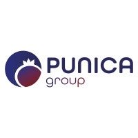 Punica Group logo - Similar company to Techsignx Ltd
