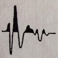 GeoPulse Canada logo - Similar company to Geopulse