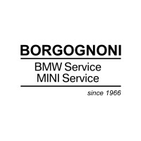 Borgognoni Srl logo - Similar company to Mirafiori Team