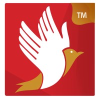 Divine Graphix & Web Designs logo - Similar company to Pixels Graphic Design