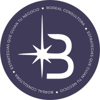 Boreal Consultora logo - Similar company to Adnlogistico