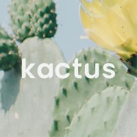 Kactus fashion logo - Similar company to Jmatos - Air Quality. Industrial Solutions