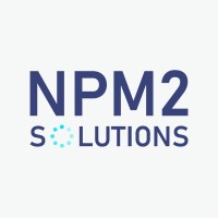 NPM2 SOLUTIONS SRL logo - Similar company to Vi.Pe Srl