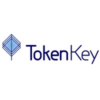 TokenKey logo - Similar company to Williams Investment